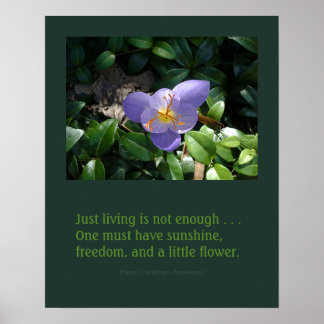 Crocus Garden inspirierendes Poster