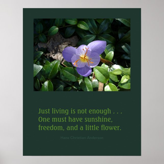 Crocus Garden inspirierendes Poster (Vorne)