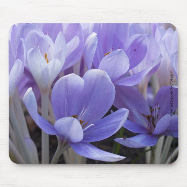 Crocus-Mauspad Mousepad (Vorne)