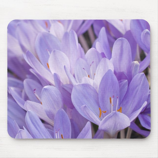 Crocus-Mauspad Mousepad (Vorne)