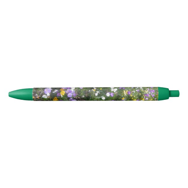 Crocus Multicolor Frühlingsblumen Grüner Pen Kugelschreiber (Vorderseite)