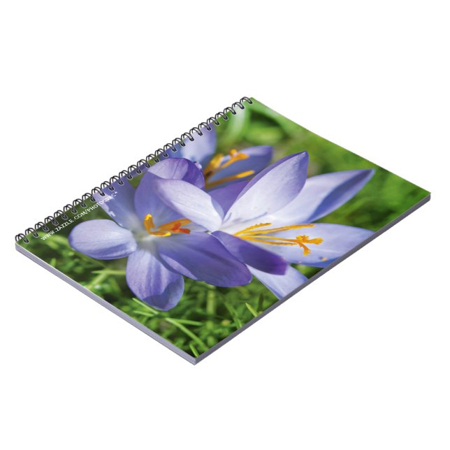 Crocus Notizblock (Linke Seite)