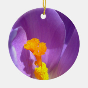 Crocus Ornament Purple Flowers Dekoration
