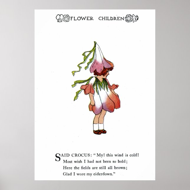 Crocus Poster (Vorne)