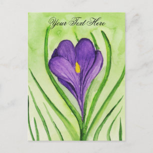 Crocus Postkarte