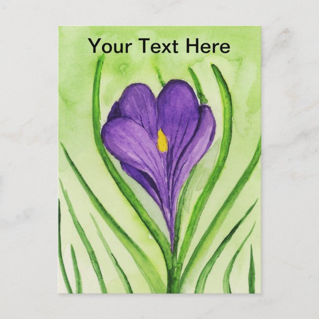 Crocus Postkarte (Vorderseite)