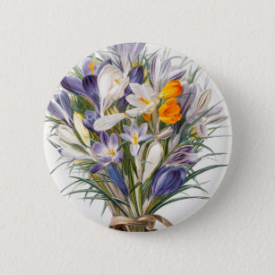 Crocus Spring Blume Florenz Button