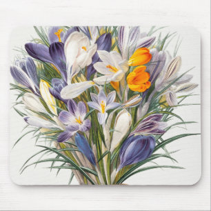 Crocus Spring Blume Florenz Mousepad