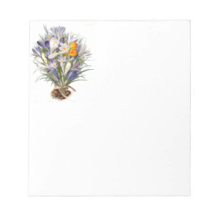 Crocus Spring Blume Florenz Notizblock