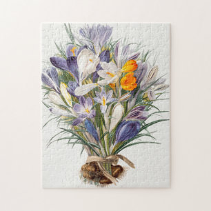 Crocus Spring Blume Florenz Puzzle