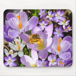 CROCUS TASTER ~ Mousepad