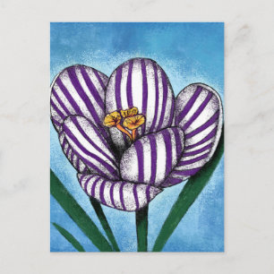 Crocus Will Preen Postcard Postkarte