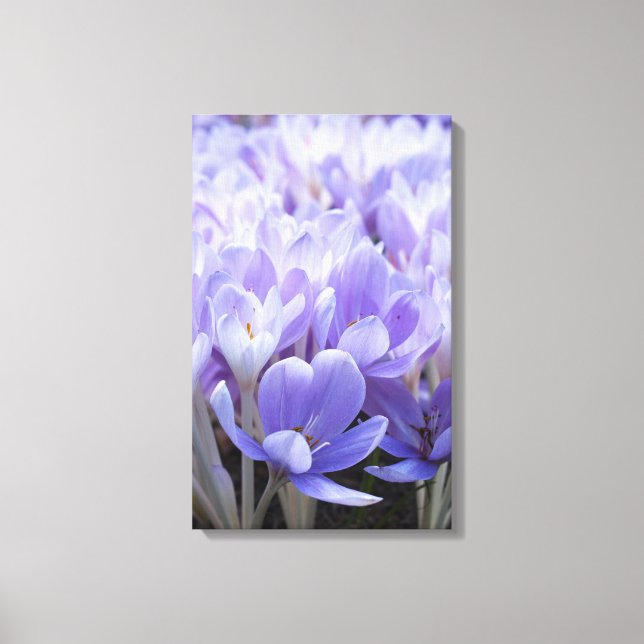 Crocus Wrapped Canvas Print Leinwanddruck (Vorderseite)