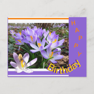 Crocusses mit Bee Happy Birthday Postcard Postkarte