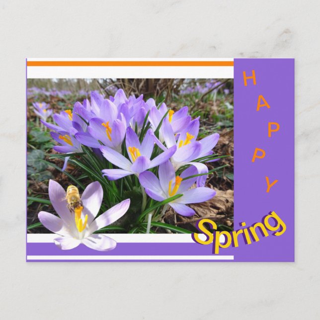 Crocusses mit Bee Happy Spring Postcard Postkarte (Vorderseite)