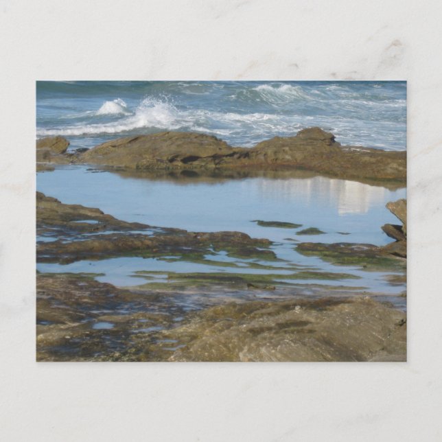 Cronulla Australien Originale Reisefotografie Postkarte (Vorderseite)