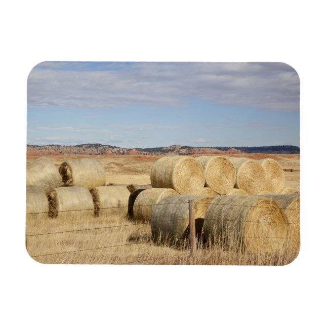 Crook County, Heu-Ballen 2 Magnet (Horizontal)