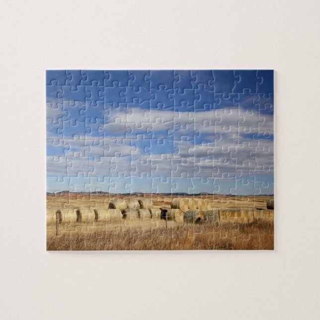 Crook County, Heu-Ballen Puzzle (Horizontal)