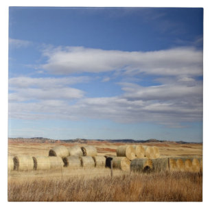 Crook County, Heuballen Fliese