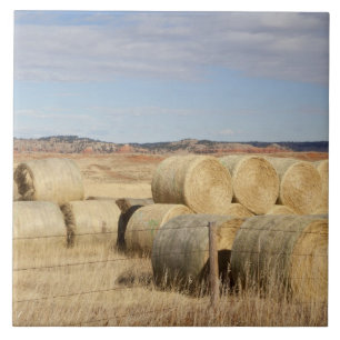 Crook County, Heuballen Fliese