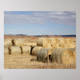 Crook County, Heuballen Poster