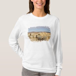 Crook County, Heuballen T-Shirt