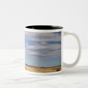 Crook County, Heuballen Zweifarbige Tasse