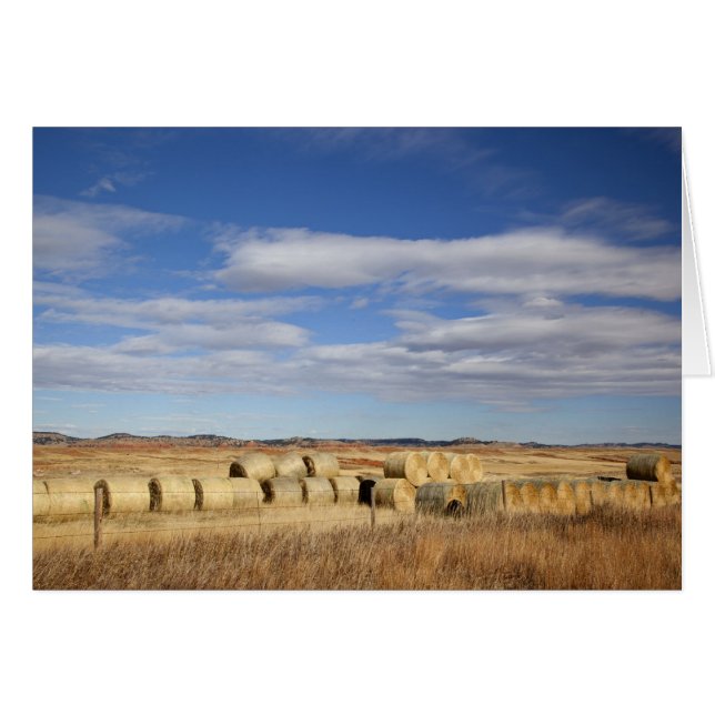 Crook Landkreis, Hay Bales (Vorderseite (Horizontal))