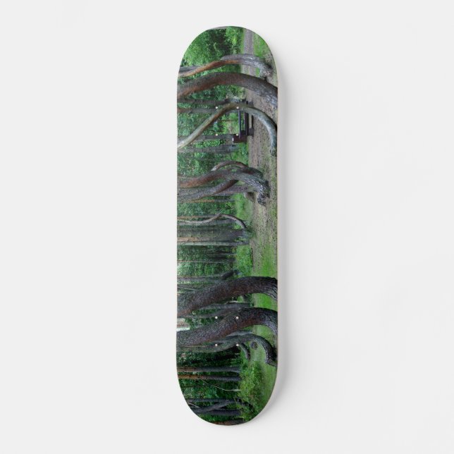 Crooked Forest - Polen Skateboard (Vorderseite)