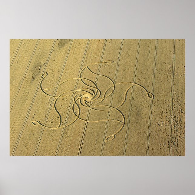 Crop Circle in Diessenhofen, Schweiz / Poster (Vorne)