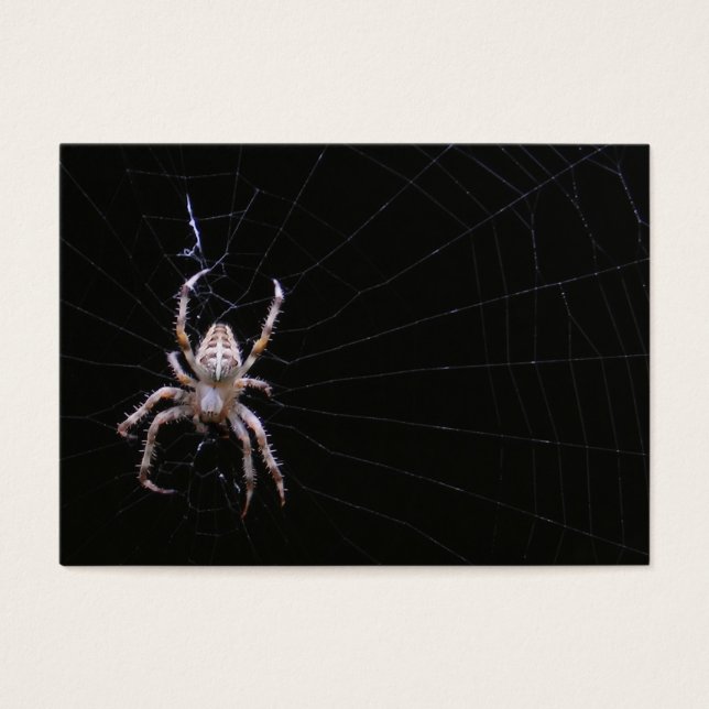Cross Spider ~ ATC (Vorderseite)