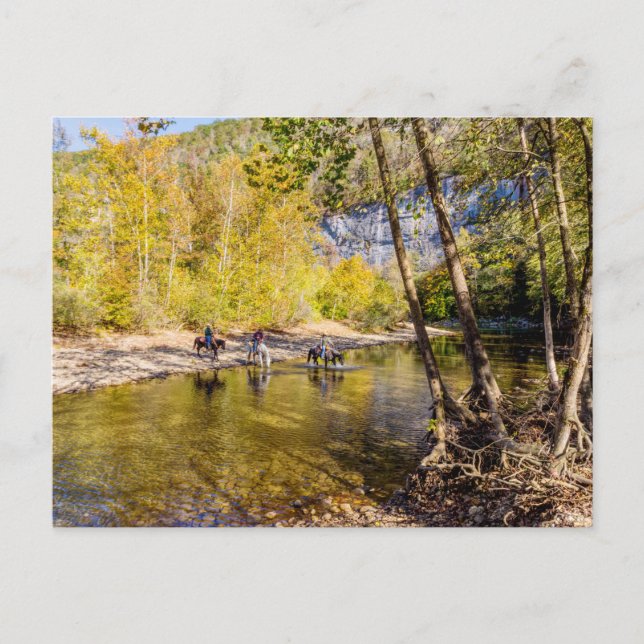 Crossing The Buffalo River Postcard Postkarte (Vorderseite)