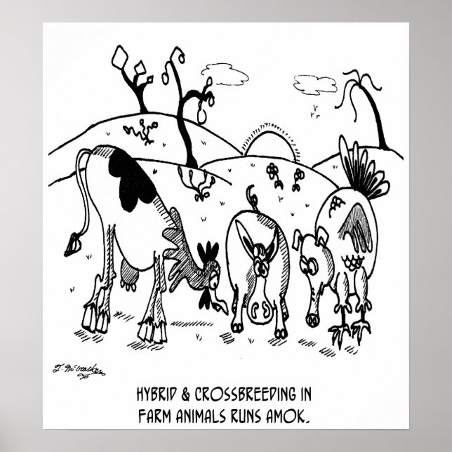 Crosszuchtlauf Amok Poster (Vorne)