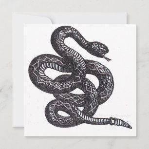 Crotalus Cascavella Schlange (Giftige Grubenotter)