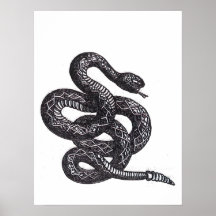 Crotalus Cascavella Schlange (Giftige Grubenotter)