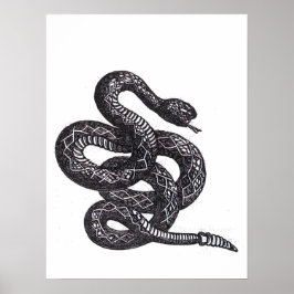 Crotalus Cascavella Schlange (Giftige Grubenotter) Poster