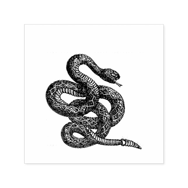 Crotalus Cascavella Snake (Venemous Pit Viper) Permastempel (Design)