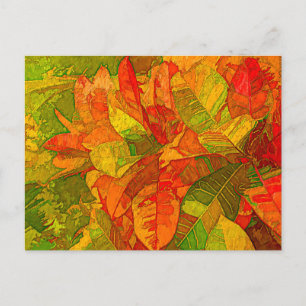 Croton Variegatum Pflanze Postkarte