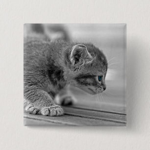 Crouching Kitten Button