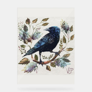 Crow Acrylschild