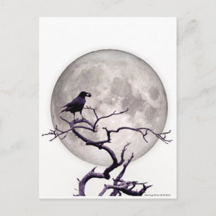 Crow and Moon Raven Fantasy Gothic Night Postkarte