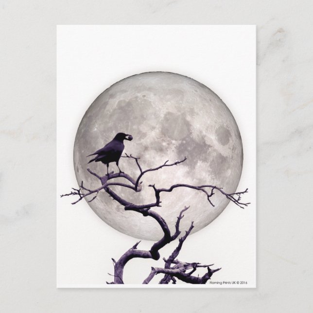 Crow and Moon Raven Fantasy Gothic Night Postkarte (Vorderseite)