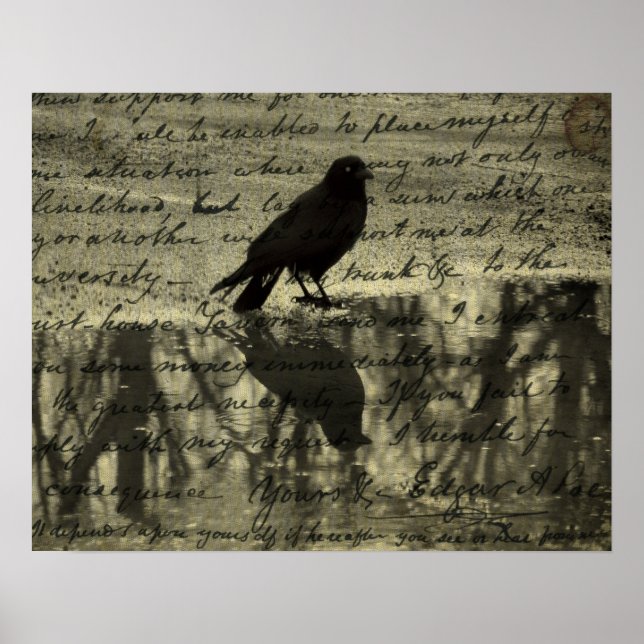 Crow and Poe Papers Poster (Vorne)