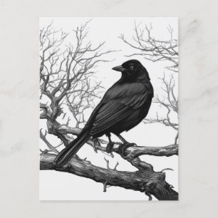Crow auf den Bare Winter Branches Postkarte