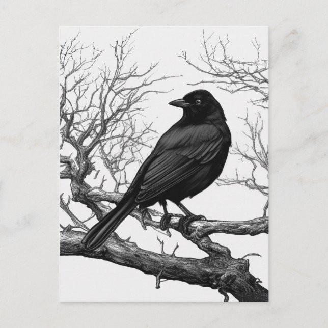 Crow auf den Bare Winter Branches Postkarte (Vorderseite)