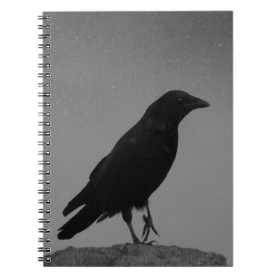 Crow auf eine laute Nacht Notizblock