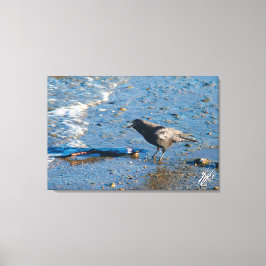 Crow auf Mutiny Bay Leinwanddruck