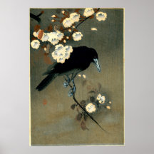 Crow & Blossom von Ohara Koson (1910)
