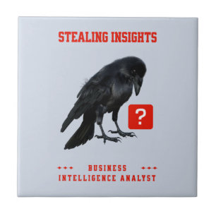 Crow Business Intelligence-Analyst Fliese