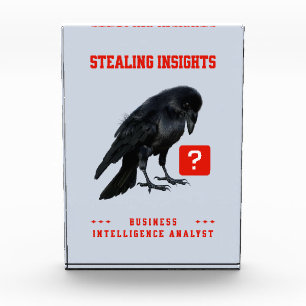 Crow Business Intelligence-Analyst Fotoblock
